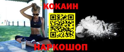 мет Кингисепп