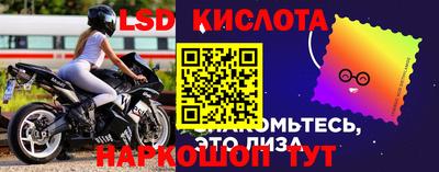 мет Кингисепп