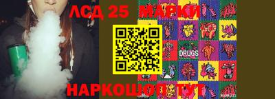 мет Кингисепп