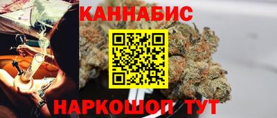 мет Кингисепп