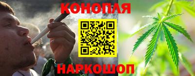 мет Кингисепп