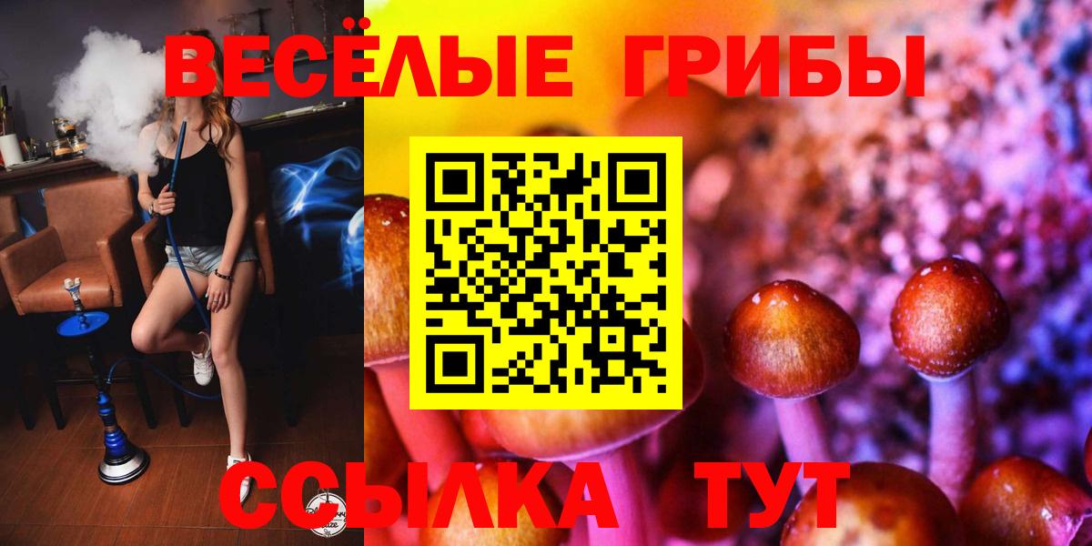 Галлюциногенные грибы прущие грибы  Псилоцибиновые грибы Psilocybe  Валуйки  Вход с VPN 